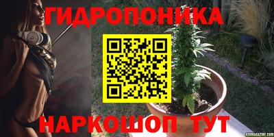 ПСИЛОЦИБИНОВЫЕ ГРИБЫ Новокубанск