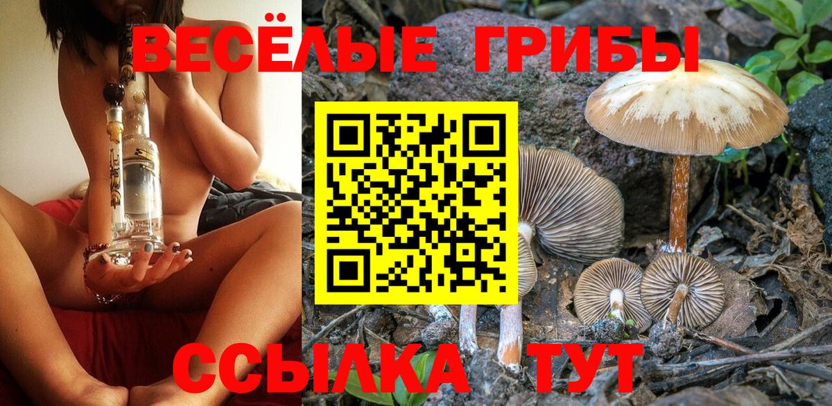 Псилоцибиновые грибы Cubensis  Вход с VPN  Чебаркуль 